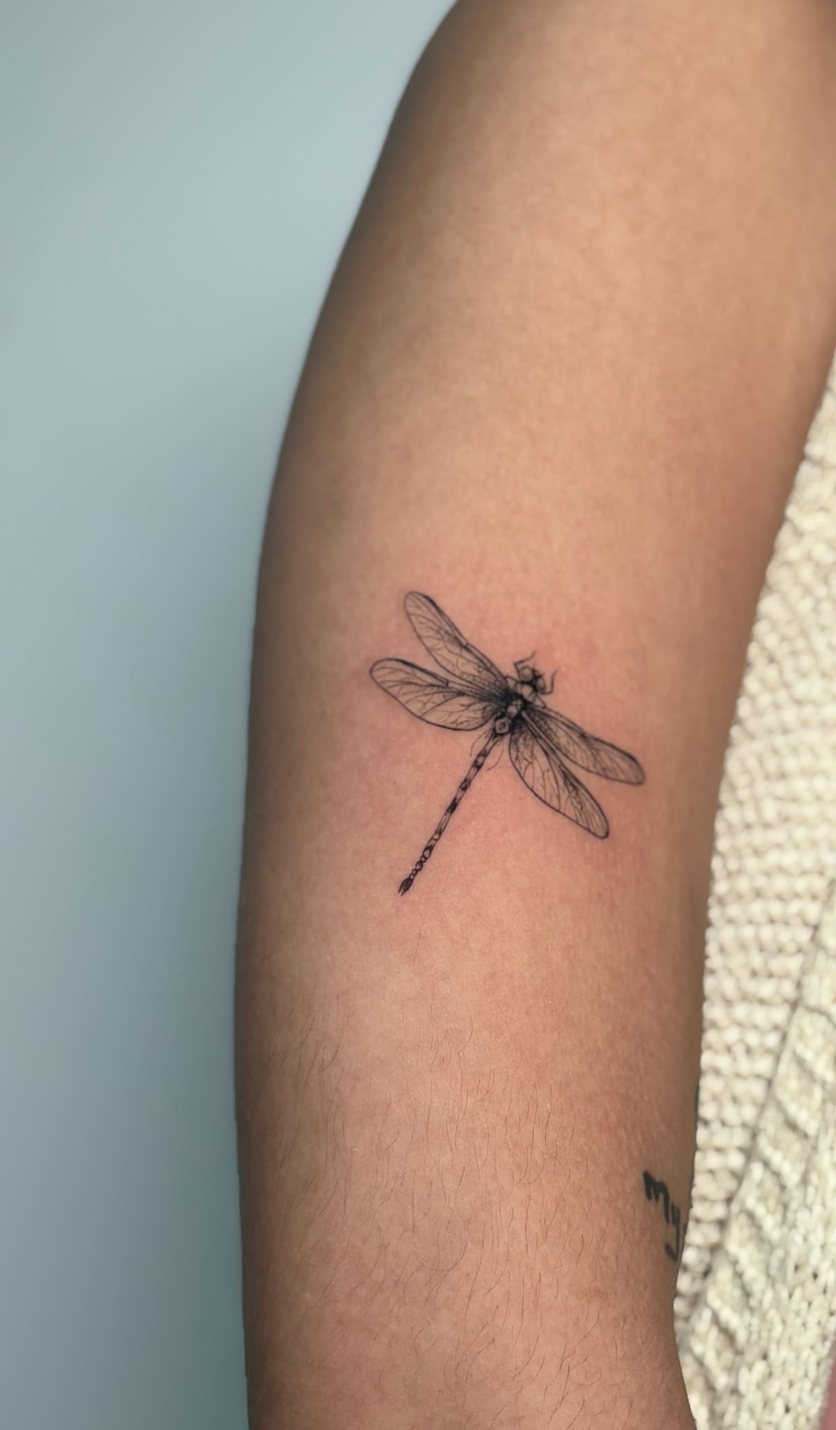 Fine Line tattoo by Aya